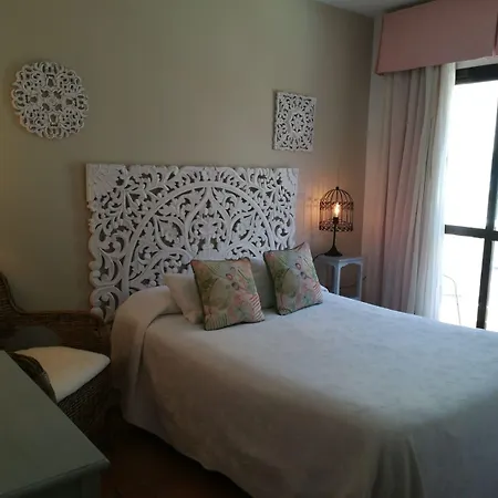 Macavi 2* روتا