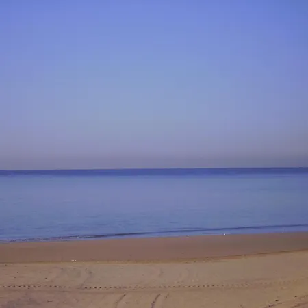 Macavi روتا