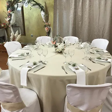 ホテル Macavi Playa ロタ