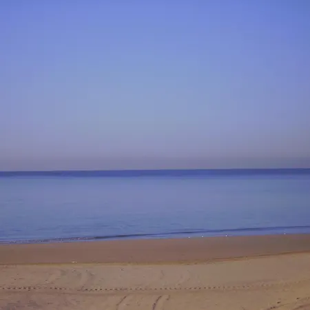 Macavi Playa 로타